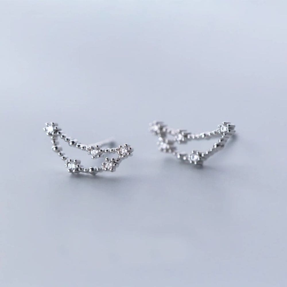 Boucles d'Oreilles Constellations Capricorne