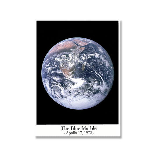 Poster Bille Bleue 50 x 70 cm